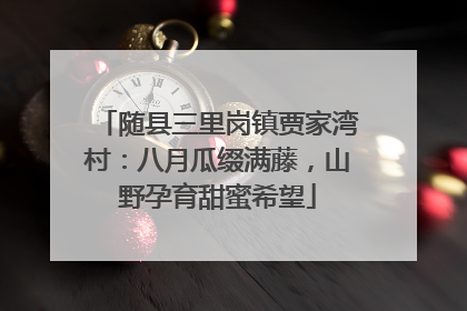 随县三里岗镇贾家湾村：八月瓜缀满藤，山野孕育甜蜜希望