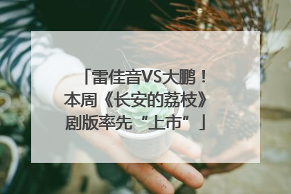 雷佳音VS大鹏！本周《长安的荔枝》剧版率先“上市”