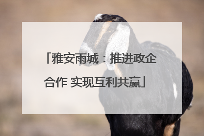 雅安雨城：推进政企合作 实现互利共赢