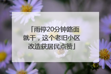雨停20分钟路面就干，这个老旧小区改造获居民点赞