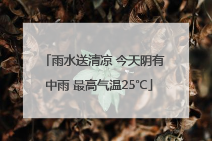 雨水送清凉 今天阴有中雨 最高气温25℃