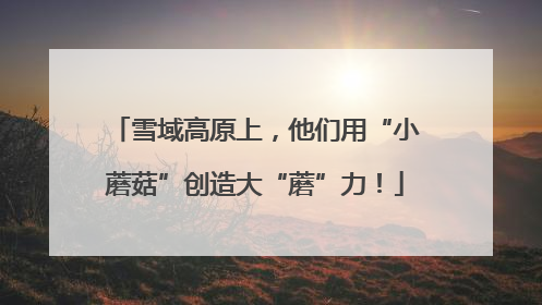 雪域高原上，他们用“小蘑菇”创造大“蘑”力！