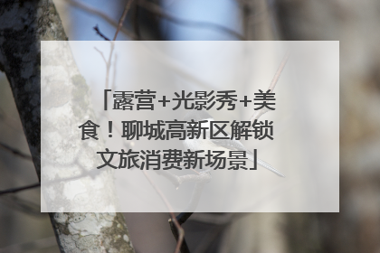 露营+光影秀+美食！聊城高新区解锁文旅消费新场景