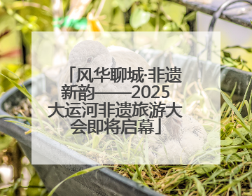 风华聊城·非遗新韵——2025大运河非遗旅游大会即将启幕