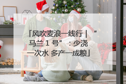风吹麦浪一线行｜“马兰 1 号”：少浇一次水 多产一成粮