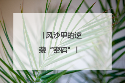 风沙里的逆袭“密码”