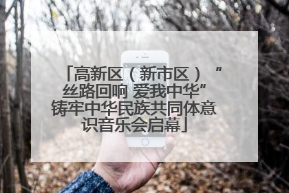 高新区（新市区）“丝路回响 爱我中华”铸牢中华民族共同体意识音乐会启幕