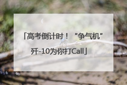 高考倒计时！“争气机”歼-10为你打Call