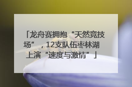 龙舟赛拥抱“天然竞技场”，12支队伍枣林湖上演“速度与激情”