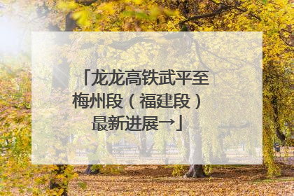 龙龙高铁武平至梅州段（福建段）最新进展→