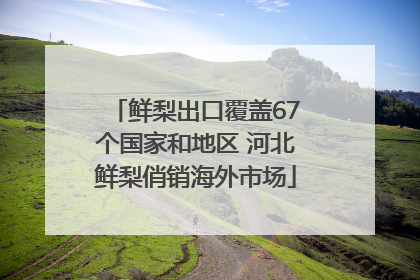 鲜梨出口覆盖67个国家和地区 河北鲜梨俏销海外市场