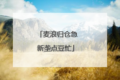 麦浪归仓急 新垄点豆忙