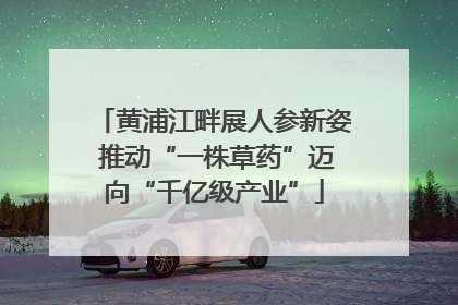 黄浦江畔展人参新姿 推动“一株草药”迈向“千亿级产业”