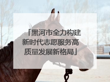 黑河市全力构建新时代志愿服务高质量发展新格局