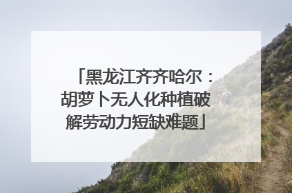 黑龙江齐齐哈尔：胡萝卜无人化种植破解劳动力短缺难题