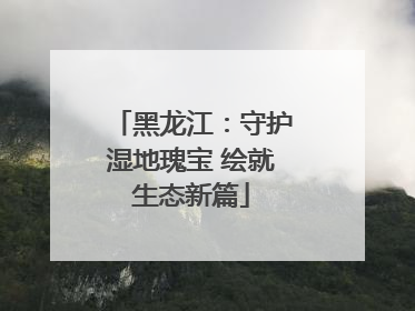 黑龙江：守护湿地瑰宝 绘就生态新篇