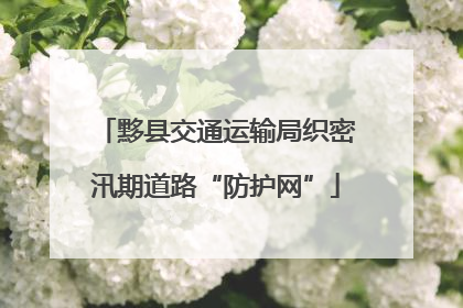 黟县交通运输局织密汛期道路“防护网”