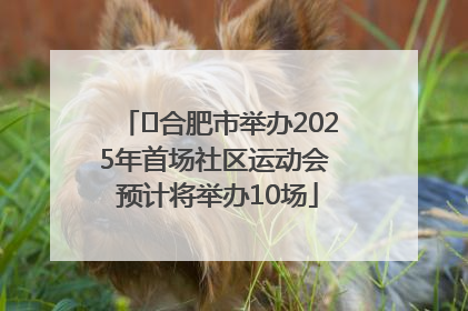 ﻿合肥市举办2025年首场社区运动会 预计将举办10场