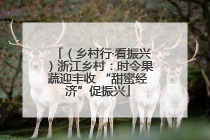 （乡村行·看振兴）浙江乡村：时令果蔬迎丰收 “甜蜜经济”促振兴