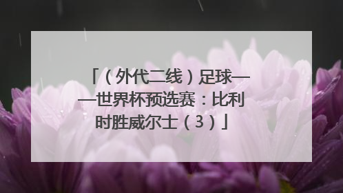 （外代二线）足球——世界杯预选赛：比利时胜威尔士（3）