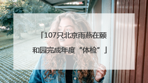 107只北京雨燕在颐和园完成年度“体检”