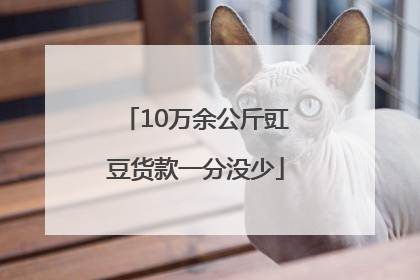 10万余公斤豇豆货款一分没少
