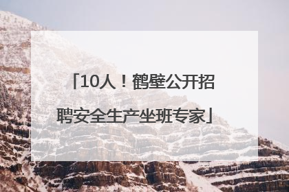 10人！鹤壁公开招聘安全生产坐班专家