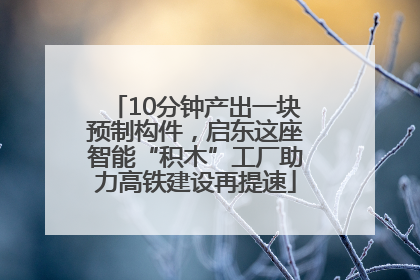 10分钟产出一块预制构件，启东这座智能“积木”工厂助力高铁建设再提速