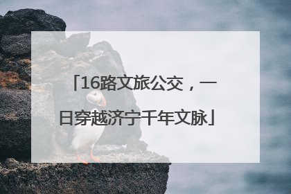 16路文旅公交，一日穿越济宁千年文脉