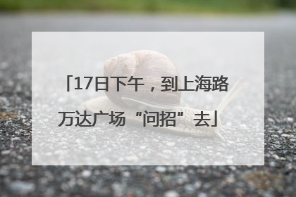 17日下午，到上海路万达广场“问招”去