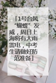 1号台风“蝴蝶”发威，周日上海将有大雨雷电，中考生请做好防范准备