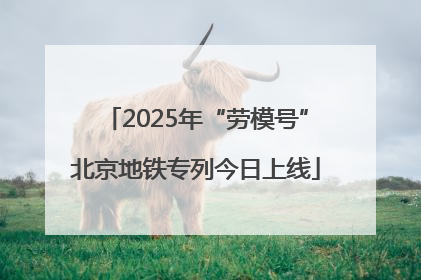 2025年“劳模号”北京地铁专列今日上线