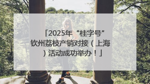 2025年“桂字号”钦州荔枝产销对接（上海）活动成功举办！