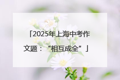 2025年上海中考作文题：“相互成全”