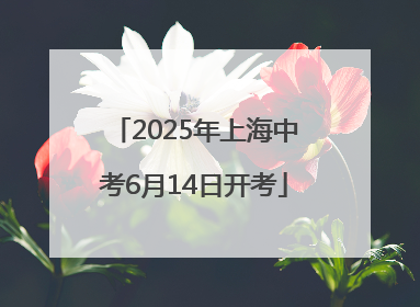 2025年上海中考6月14日开考