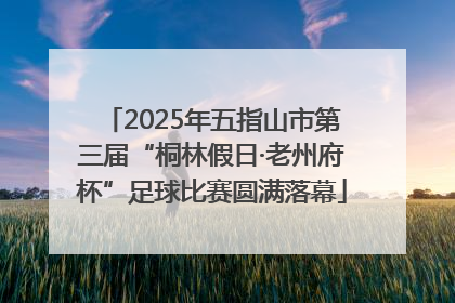 2025年五指山市第三届“桐林假日·老州府杯”足球比赛圆满落幕