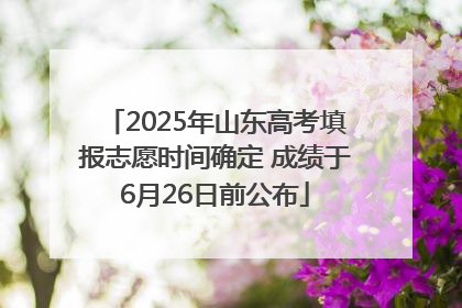 2025年山东高考填报志愿时间确定 成绩于6月26日前公布