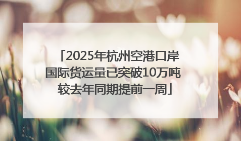 2025年杭州空港口岸国际货运量已突破10万吨 较去年同期提前一周