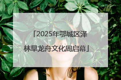 2025年鄂城区泽林旱龙舟文化周启幕
