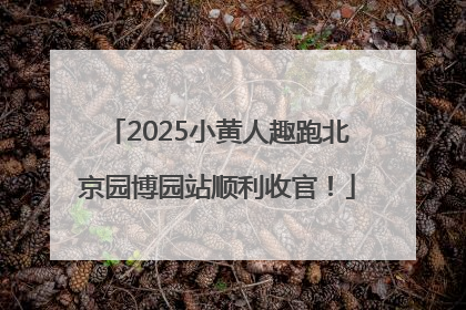 2025小黄人趣跑北京园博园站顺利收官！