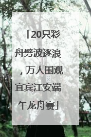 20只彩舟劈波逐浪，万人围观宜宾江安端午龙舟赛