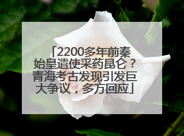 2200多年前秦始皇遣使采药昆仑？青海考古发现引发巨大争议，多方回应