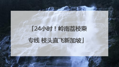 24小时！岭南荔枝乘专线 枝头直飞新加坡