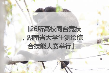 26所高校同台竞技，湖南省大学生测绘综合技能大赛举行