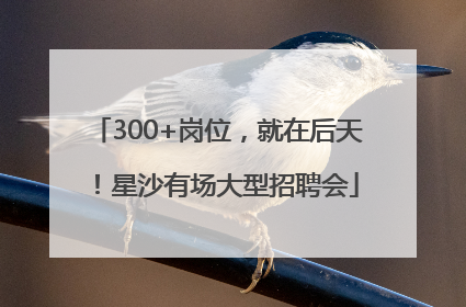 300+岗位，就在后天！星沙有场大型招聘会