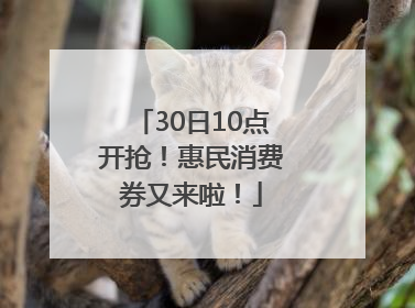 30日10点开抢！惠民消费券又来啦！