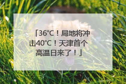 36℃！局地将冲击40℃！天津首个高温日来了！