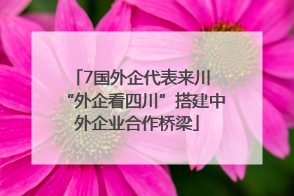 7国外企代表来川 “外企看四川”搭建中外企业合作桥梁