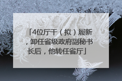 4位厅干（拟）履新，卸任省级政府副秘书长后，他转任省厅