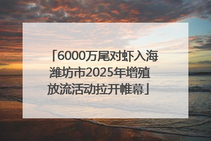 6000万尾对虾入海 潍坊市2025年增殖放流活动拉开帷幕